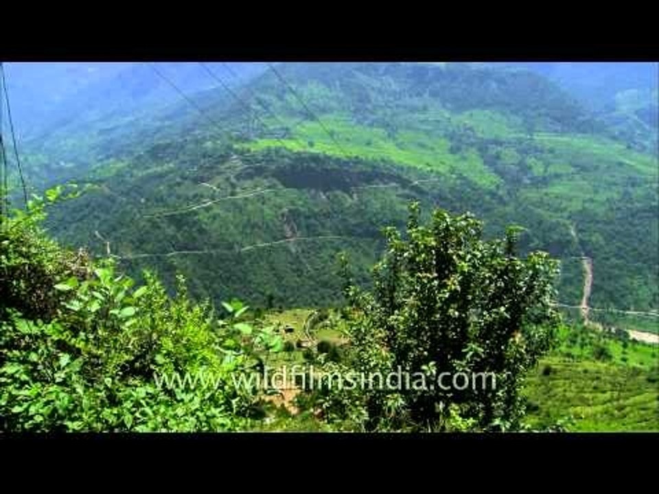 Green surrounds the river: At Phata