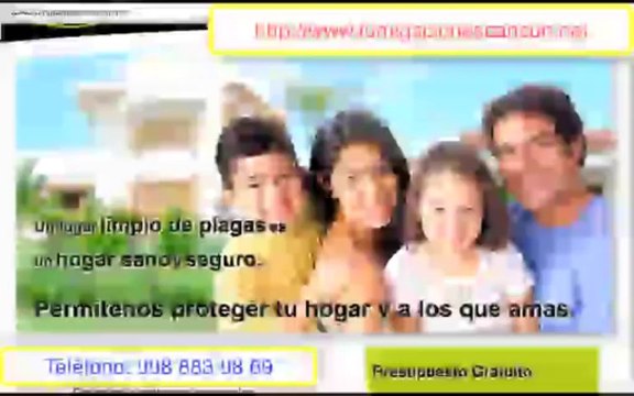 Fumigaciones Cancún