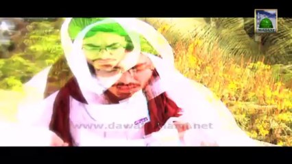 Pakistan Add in English - Donation and Fund Shaban - Hassan Madani