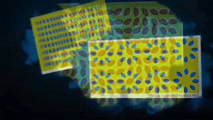 Optical Illusions