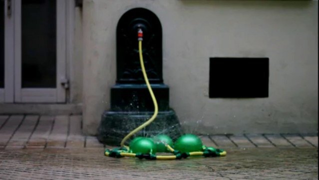 DOUAIRE Pierre-Evariste Fontaine Hérisson , 2012. Paris (France)