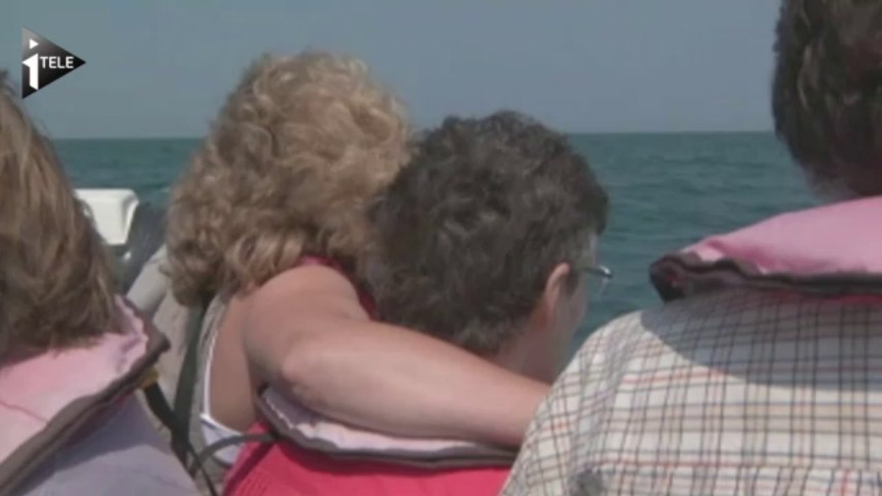 Les dauphins de Cancale