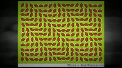 Moving Illusions