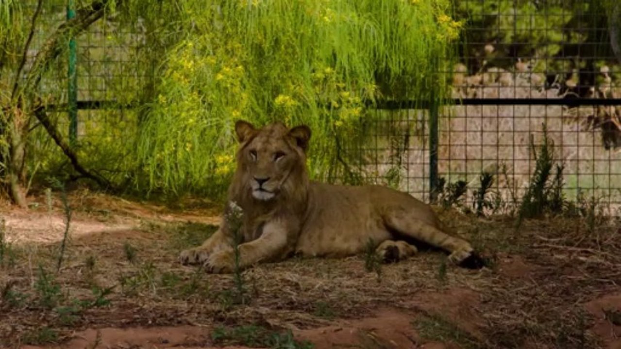 Morocco In Motion - Le Jardin Zoologique de Rabat, Maroc