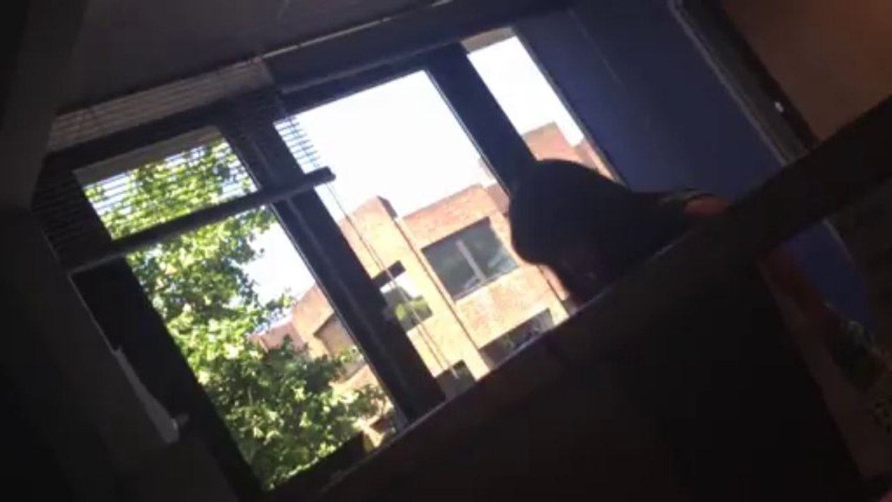 Disabilty discrimination from ATOS Healthcare in Romford