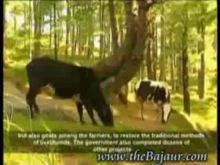 Doucmentary on Bajaur Agency