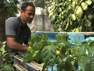 Une maison adaptée à son environnement - Cultiver son jardin créole