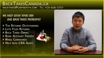 Back Taxes Canada.ca | We also prepare business and self-employed returns, corporate returns,