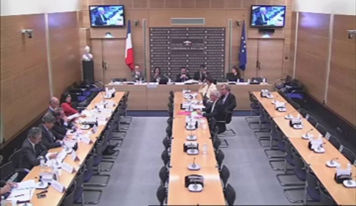 Commission des lois : gouvernance des grandes entreprises table ronde sur la place de l'Etat