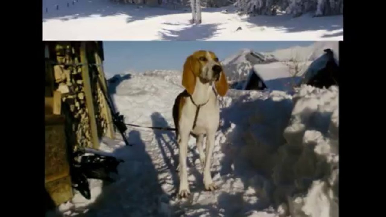 Winter in der Schweiz