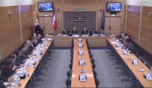 Commission des lois : justice en matiere commerciale , table ronde avec les administrateurs et mandataires judiciaires 5 février 2013