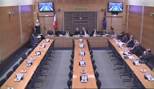 Commission des lois : rôle de la justice en matière commerciale, audition de Mme Taubira, garde des sceaux le 13 février 2013
