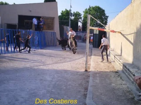 festival d'abrivado&bandido vergeze