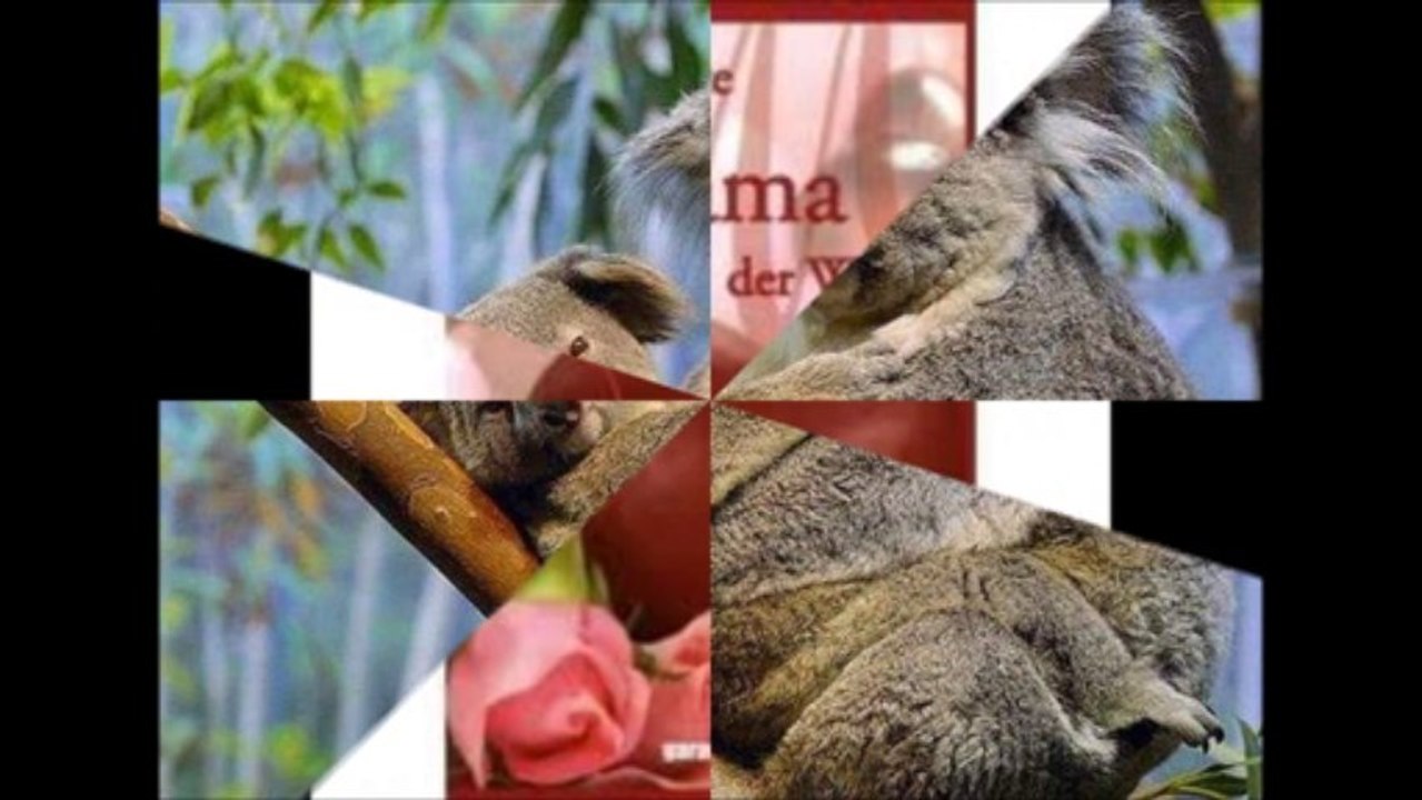 MOJA MAMA JEST NAJLEPSZA