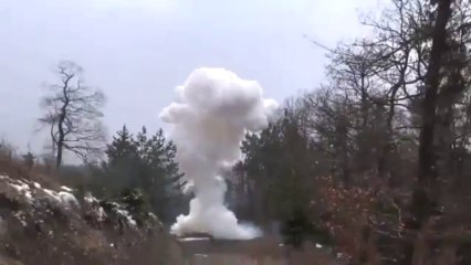 Gros pétard - Une bombe sur une souche d'arbre