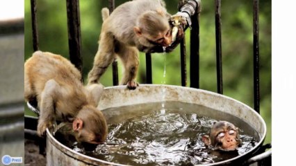 La question insolite - Pourquoi a-t-on soif?