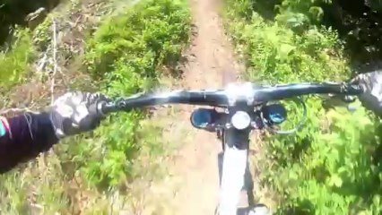 Le Bike Park de la Bresse-Hohneck en vidéo