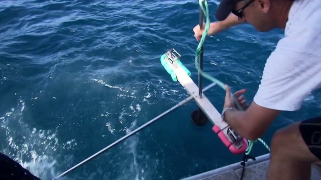 Des chercheurs inventent une combinaison à rayures anti-requin