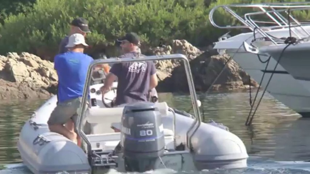 Teaser Seriole Killer