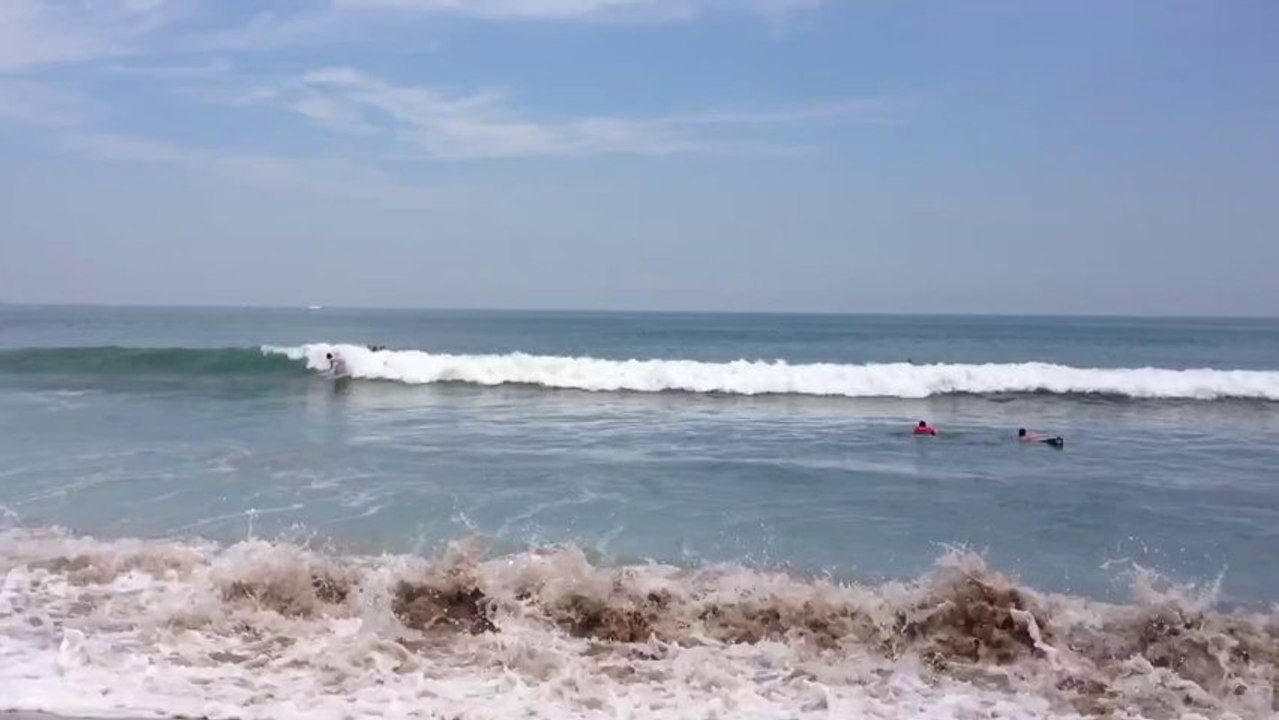 BALI 2013