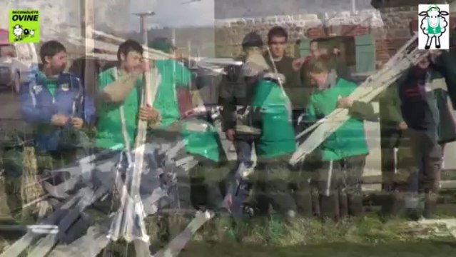 Les Ovinpiades des jeunes bergers - exemple de finale régionale