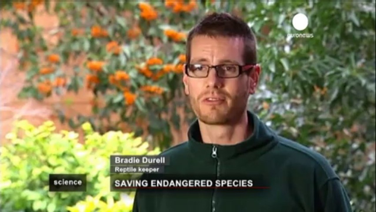 Desperate attempts to save endangered species