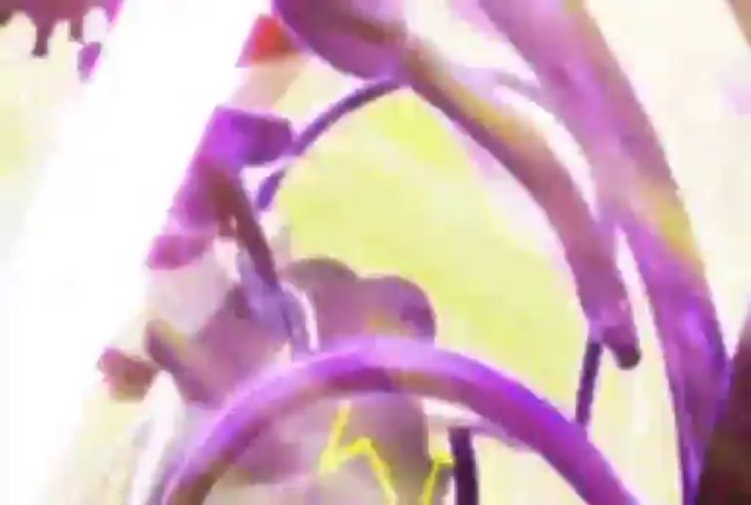 Mahou Shoujo Lyrical Nanoha A's Snow Rain InuYDesi Fandub