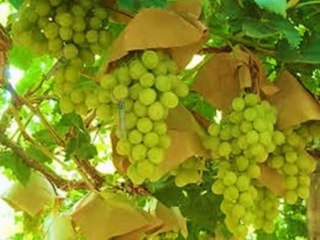 Fuera de Cristo no hay salvación