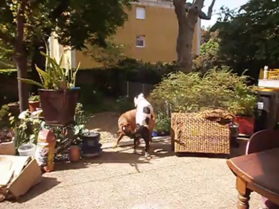 Hercule et Eros mai 2013 n° 1