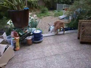 Hercule joue avec Eros  mai 2013 n° 2