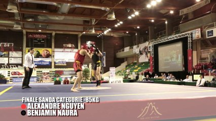 Alexandre Nguyen vs Benjamin Naura - Finale Sanda -85kg - Vichy 2013