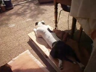 Hercule et Eros mai 2013 n° 5