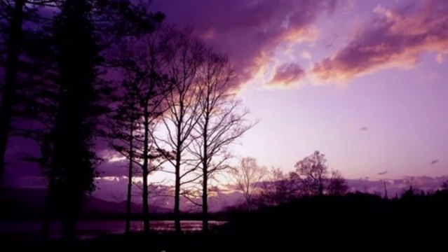 BİR DOSTU OLMALI İNSANIN-Can DÜNDAR