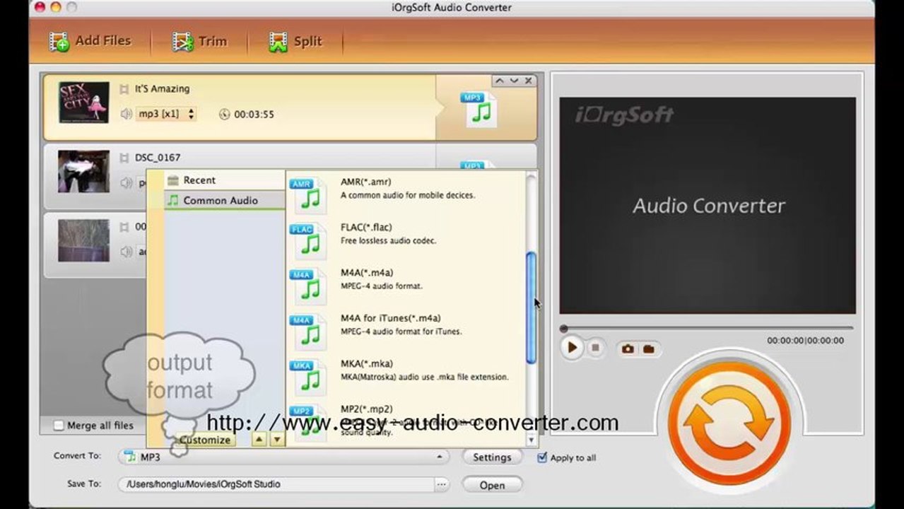 audio converter-wmv to mp3
