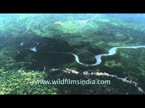 Island rivers snake through Andamans island forests