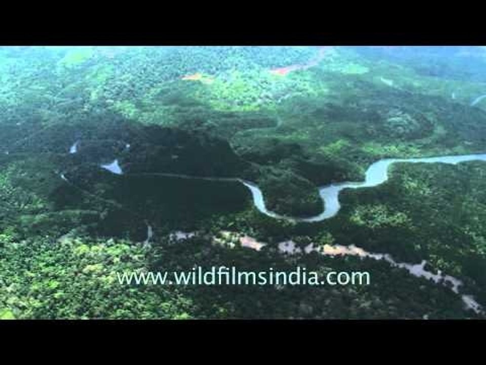 Island rivers snake through Andamans island forests