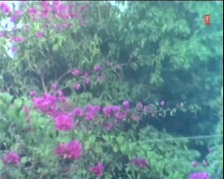 Kaahe Maara Taru Gori [ Bhojpuri Video Song ] Sanchi Piritiya Hamar