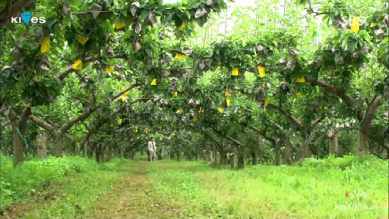 nuthanhonnhan08-001
