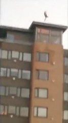 Suicide? - Jump from the top of a high buiding.