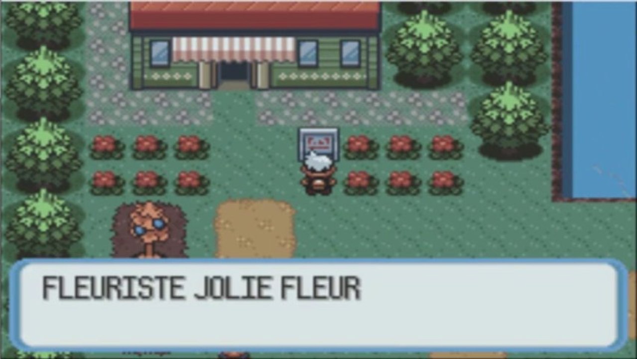 Pokémon rubis épisode 2 : J'ai eu mon premier badge !!