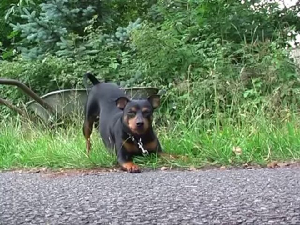 Putin und die Schwulen Discrimination in Russia - das homophobe Gesetz aus dem Kreml Russland ist nicht gayl