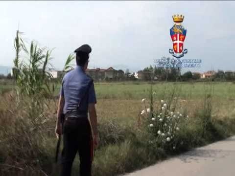 Casal di Principe (CE) - Estorsioni a imprenditori, due arresti (26.07.13)