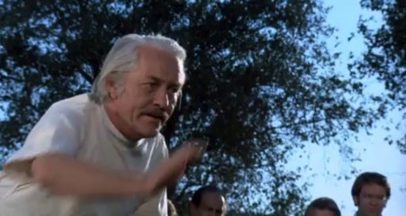 kobra ... sono i serpenti più regali ma pericolosi