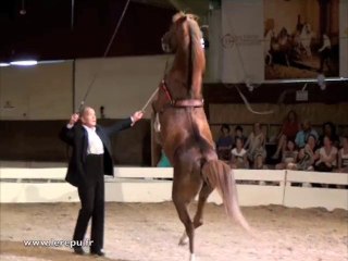 10 ans d'Instants équestres avec Lucien Gruss à Uzès