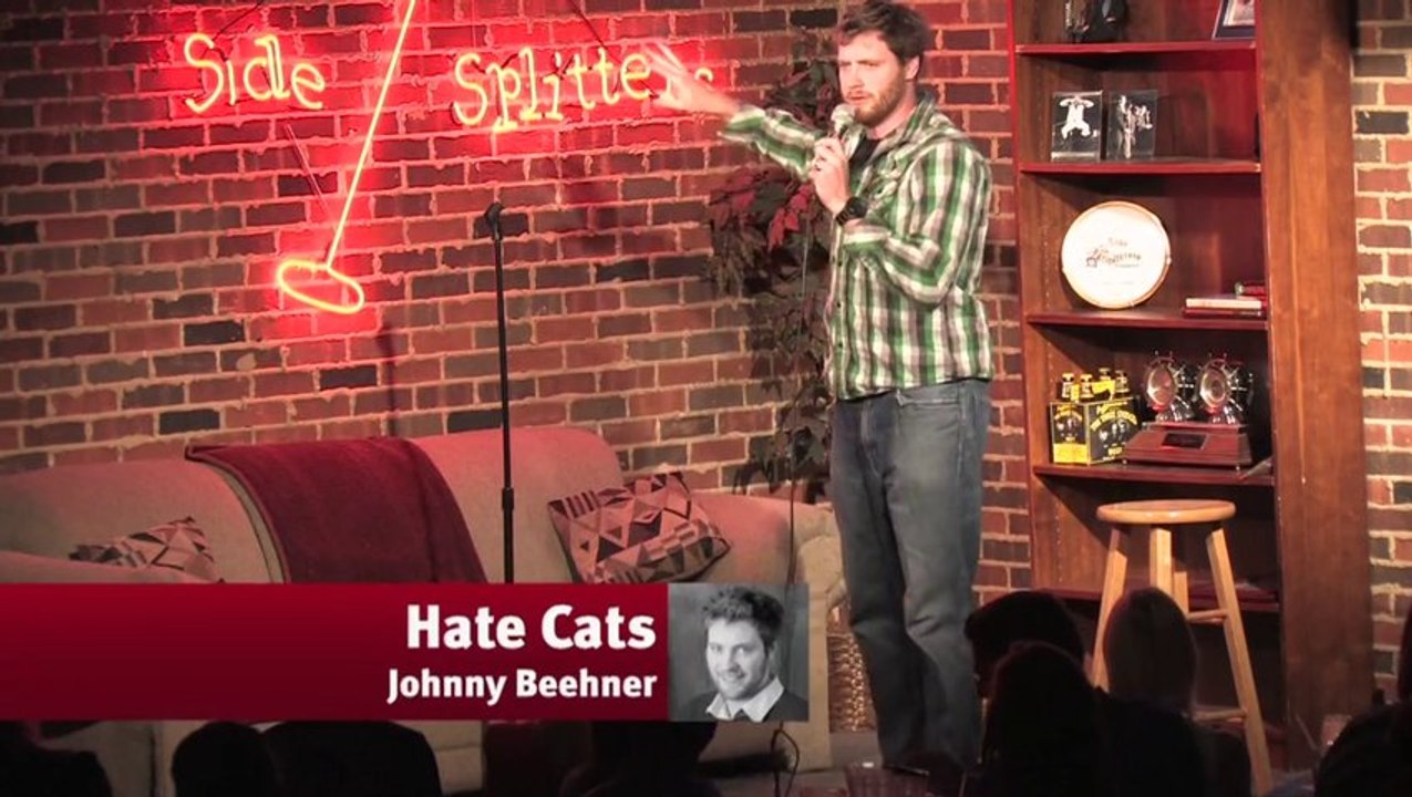 Hate Cats