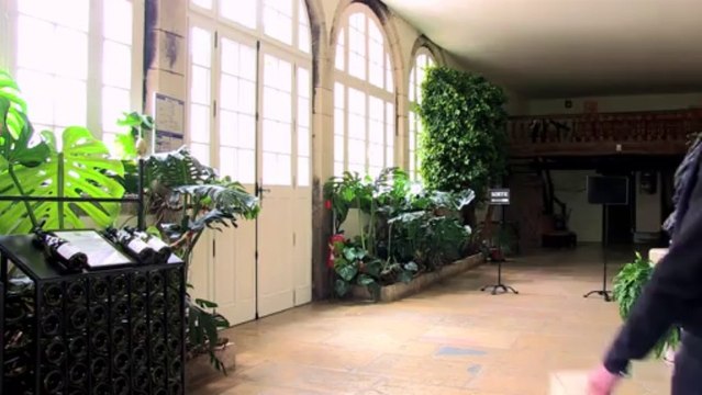 Château de Meursault : dégustation de vins, Art et visite de caves