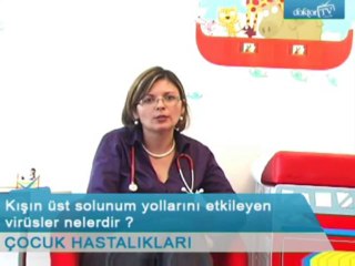 Kışın üst solunum yollarını etkileyen virüsler nelerdir ?