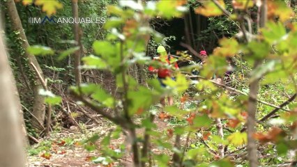 Trekking - Les Immanquables