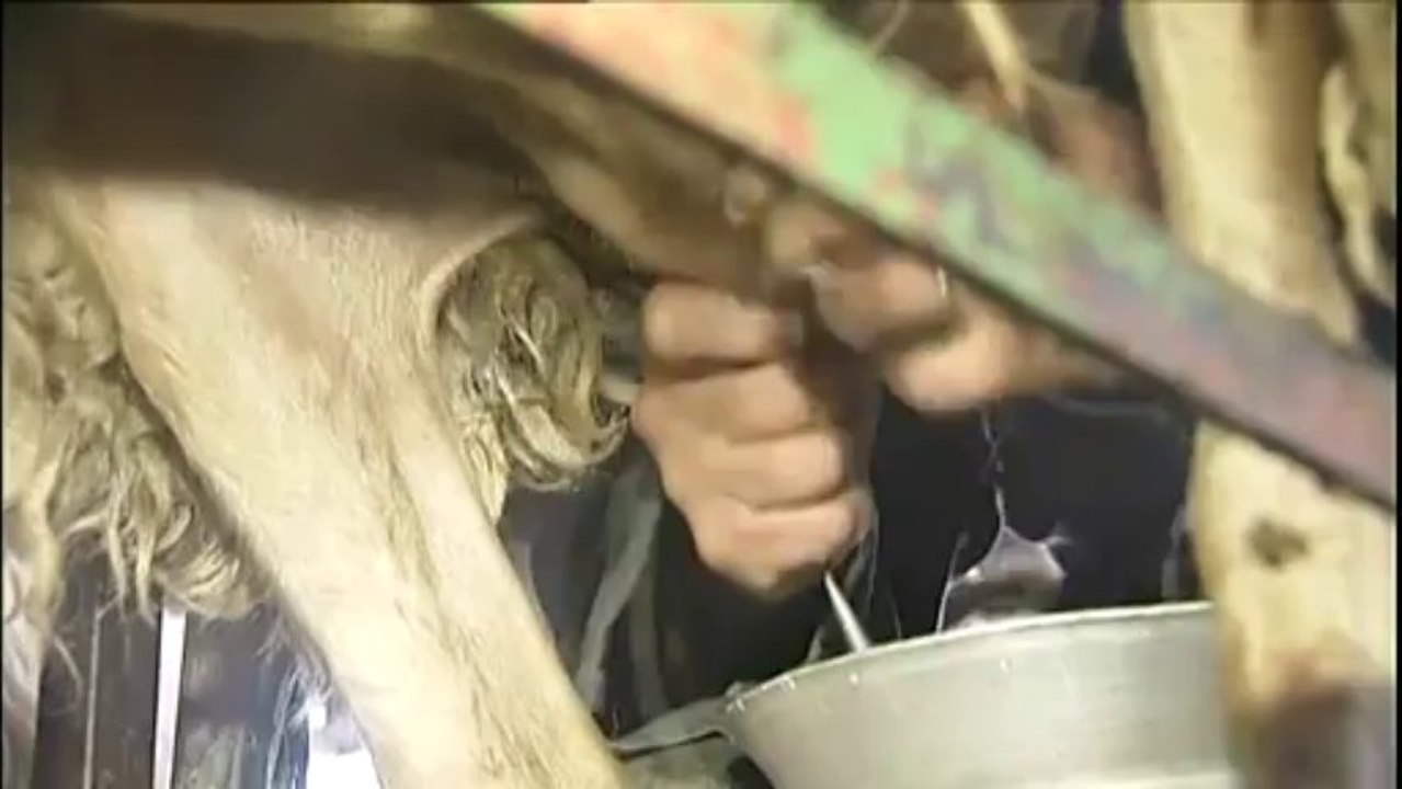 Paul, 4 ans, berger dans les Pyrénées