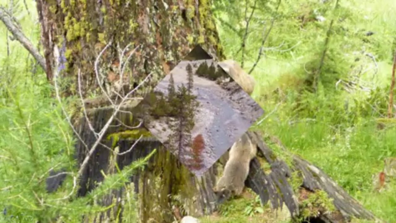 Nationalpark im Engadin